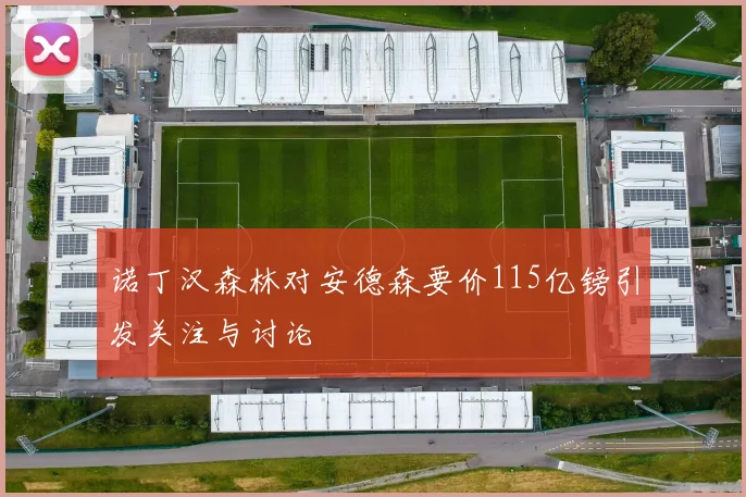 诺丁汉森林对安德森要价115亿镑引发关注与讨论